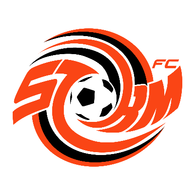 Storm FC Car Decal Image