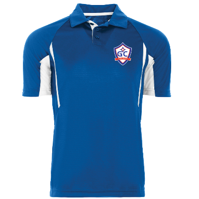 Avenger Polo-Royal Image