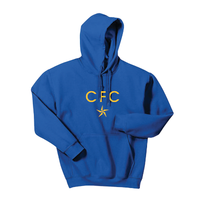 Heavy Blend Hooded Sweatshirt - Royal Image