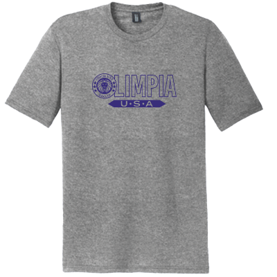 Perfect Tri DTG Tee - Grey Frost Image