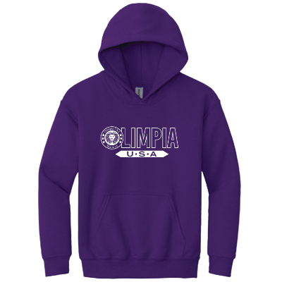 Heavy Blend Hooded Sweatshirt - Purple Image (19745)