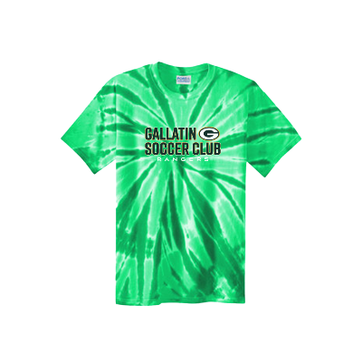 Tie-Dye Tee - Kelly Green Image