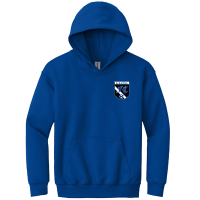 Heavy Blend Hooded Sweatshirt - Royal Image (20659)