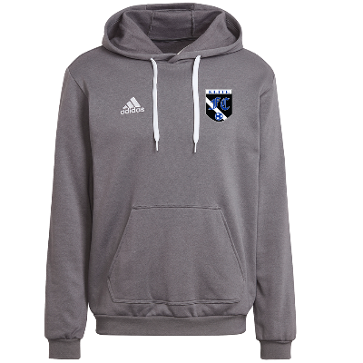 Entrada 22 Sweat Hoody - Grey Image