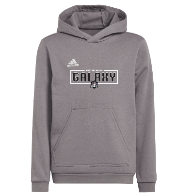 Entrada 22 Sweat Hoody - Grey Image (21125)