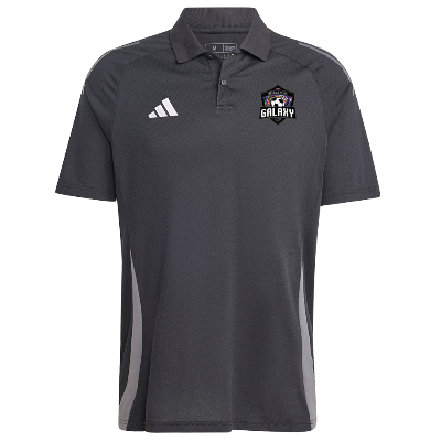 Tiro 24 Competition Polo - Black/Dark Grey Image