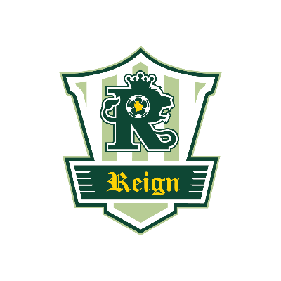 Plymouth Reign Car Decal Image