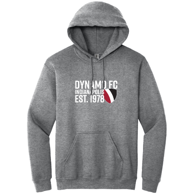 Heavy Blend Hooded Sweatshirt - Graphite Heather Image