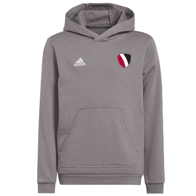 Entrada 22 Sweat Hoody - Grey Image
