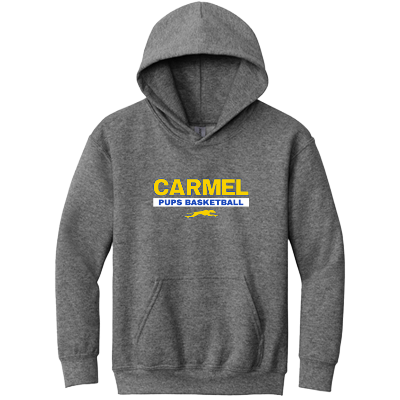 Heavy Blend Hooded Sweatshirt - Graphite Heather Image (24236)