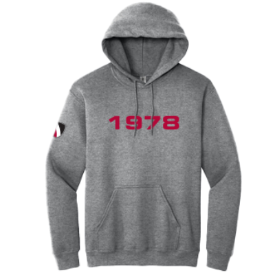 Heavy Blend Hooded Sweatshirt - Graphite Heather Image