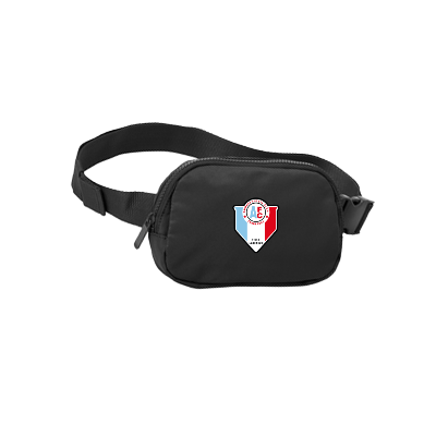 Matte Hip Pack - Black Image
