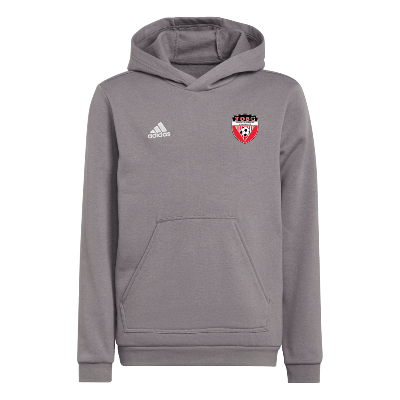 Entrada 22 Sweat Hoody - Grey Image