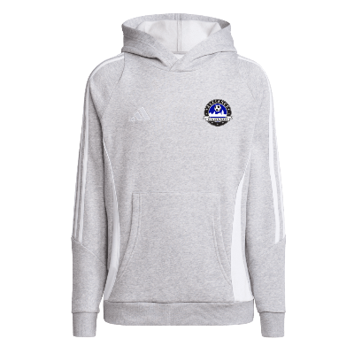 Tiro 24 Sweat Hoodie - Grey/White Image (26704)