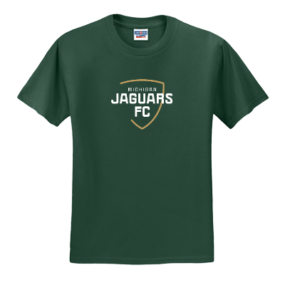 Dri-Power Active 50/50 T-Shirt - Forest Image