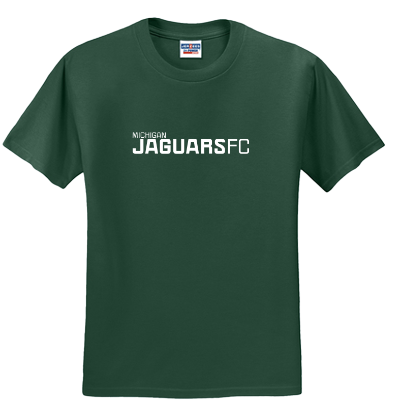 Dri-Power Active 50/50 T-Shirt - Forest Image