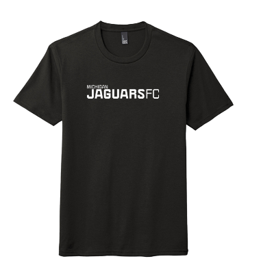 Perfect Tri DTG Tee - Black Image