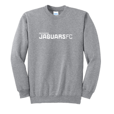 Essential Fleece P/O Hoody - Athletic Heather Image
