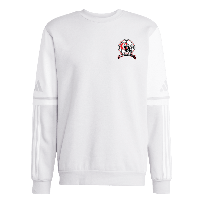 Squadra 25 SW Crew - Light Gray/White Image