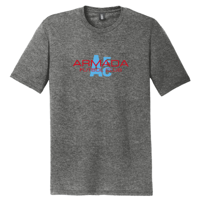 Perfect Tri DTG Tee - Grey Frost Image