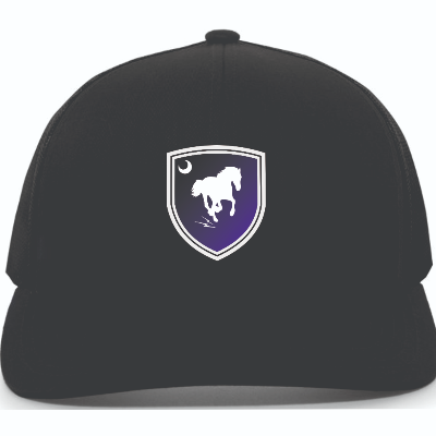 Trucker Snapback Hat Black Image