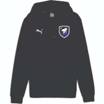 Team Goal Hoody Black Image
