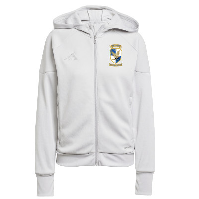Tiro 25 Travelwear Hoody - Lt Grey Image (29933)