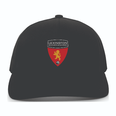 LSA Trucker Snapback Hat - Black Image