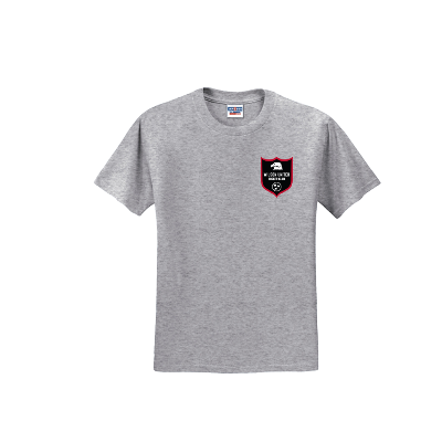 Dri-Power Active 50/50 T-Shirt - Athletic Heather Image