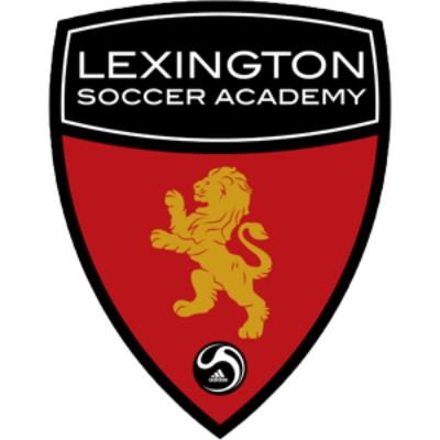LSA Window Decal Image