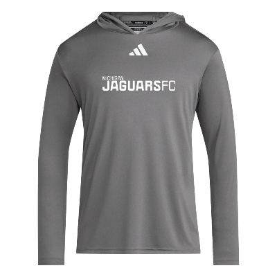 D4T LS Hoody Tee - Team Grey Four/White Image