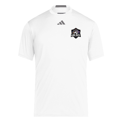 D4T Performance SS Tee - White/Grey Image
