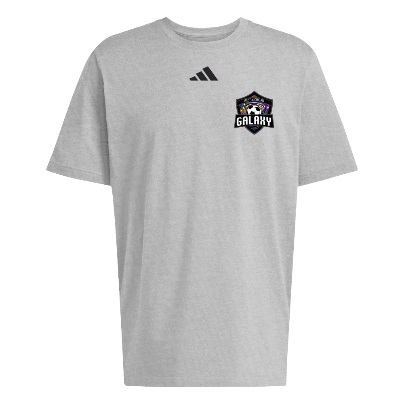 Fresh SS Tee - Heather Grey/Black Image