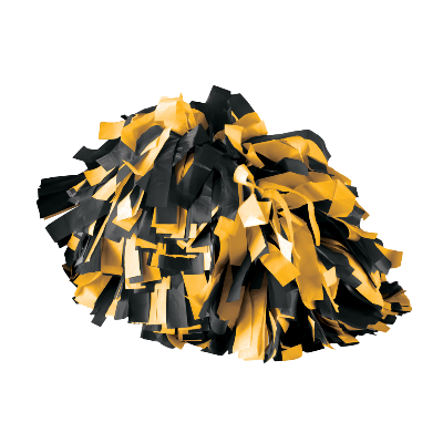 SPIRIT POM BLK/GLD  Image
