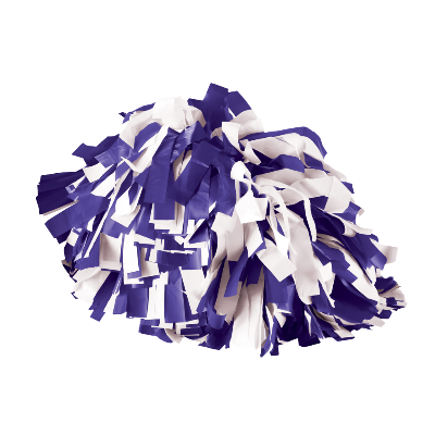 SPIRIT POM PRPL/WHT  Image