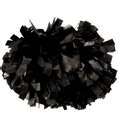 CHAMPION PLASTIC 6" POM BLK  Image