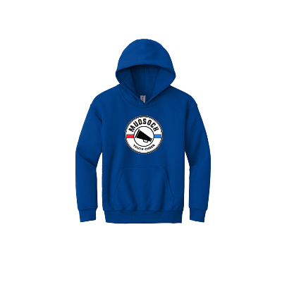 Heavy Blend Hooded Sweatshirt - Royal Image (30651)