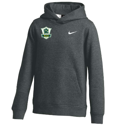 Team Club Pullover Hoodie - Anthracite Image
