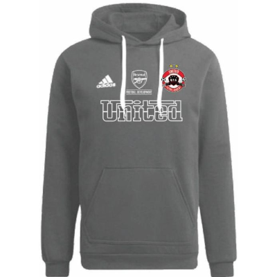 Entrada 22 Hoodie Team Grey Image