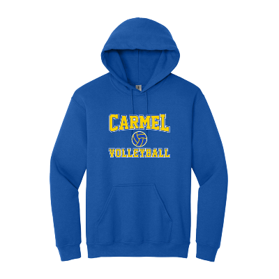 Heavy Blend Hooded Sweatshirt - Royal Image