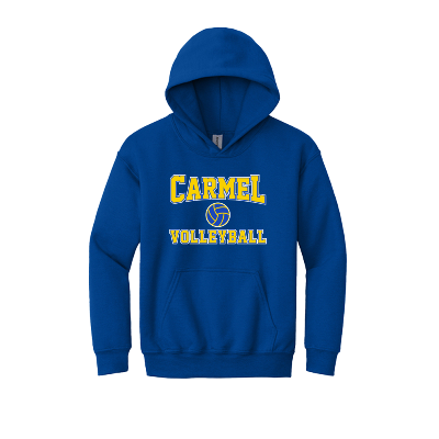 Heavy Blend Hooded Sweatshirt - Royal Image (33122)
