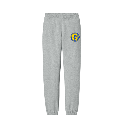 DISCTRICT V.I.T. FLC SWEATPANT LTGRY  Image (33870)