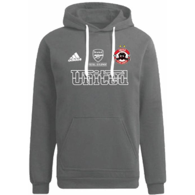UFA Entrada 22 Hoodie Team Grey Image