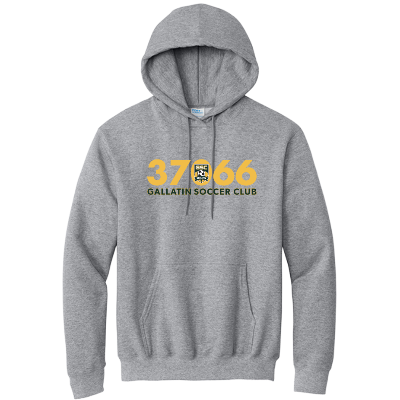 Essential Fleece P/O Hoody - Athletic Heather Image