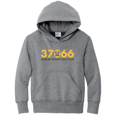 Essential Fleece P/O Hoody - Athletic Heather Image (34596)