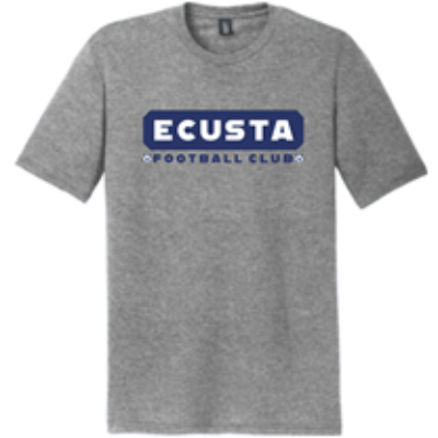 SS Fan Tee Grey Frost Image