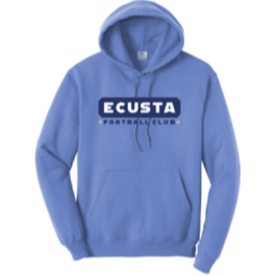 Core Fleece Pullover Hoodie Carolina Blue Image