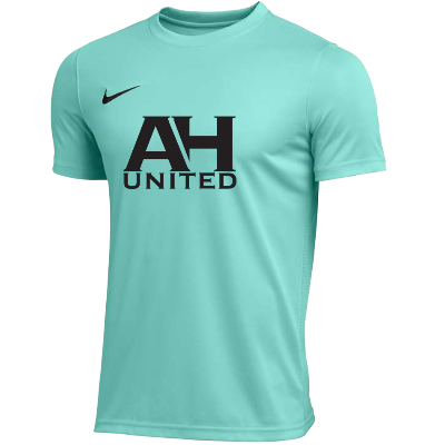 Park VII Jersey - Turquoise Image