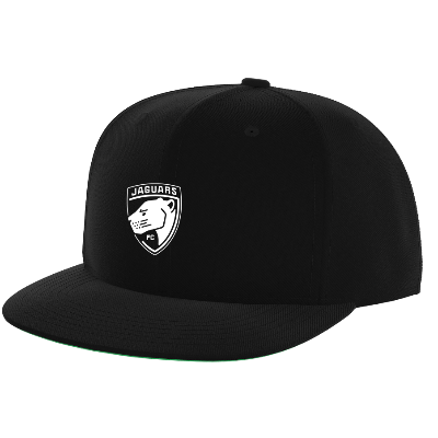 Flat Brim Snapback Black Image