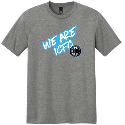 Perfect Tri Tee - Grey Frost Image